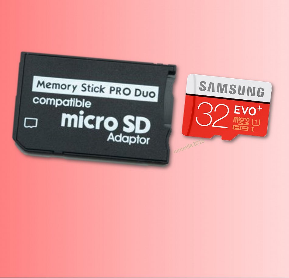 Memory Stick Pro duo adattatore 32 GB + micro sd Scheda di Memoria