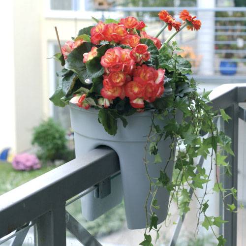 Flowerclip Pflanzen_Töpfe Blumentopf 1 Stück anthrazit