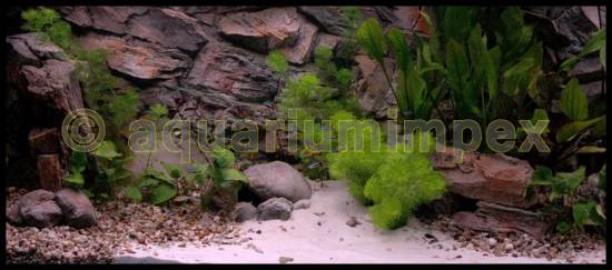 Aquarium 3 D Rückwand Rock Felsen 120x60 cm 120 3D