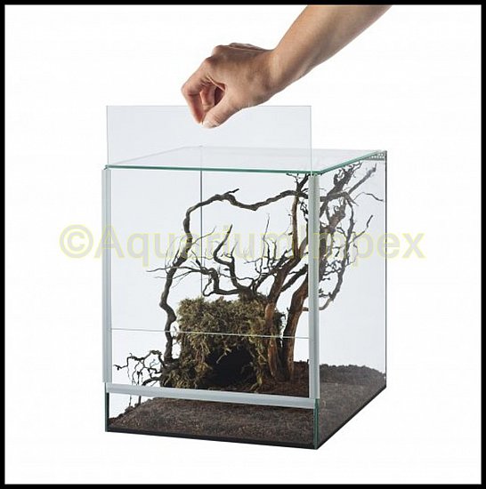 Glas Terrarium Glasterrarium 20x20x30 20 30 Falltür