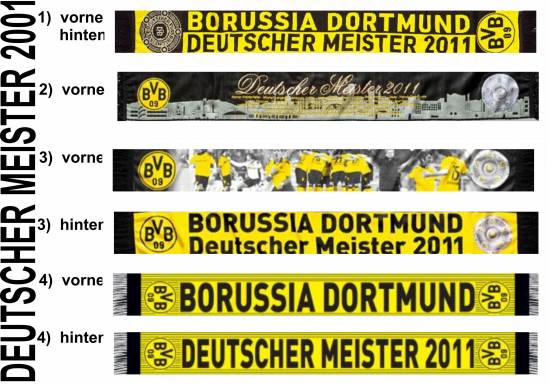 BVB Meisterschal Fotoschal Webschal Strickschal Schal  