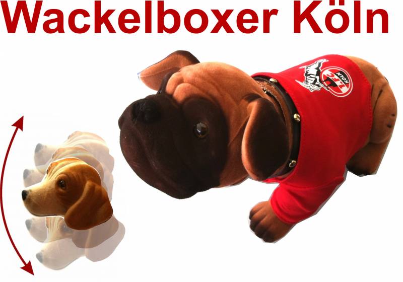 FC Wackelboxer mit Trikot      1 FC Köln Wackelfigur